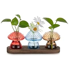 Glasseam pilz vase gebraucht kaufen  Wird an jeden Ort in Deutschland