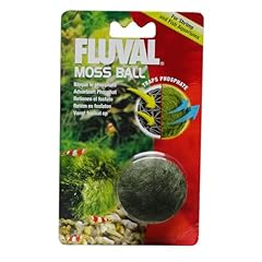 Fluval palla muschio usato  Spedito ovunque in Italia 