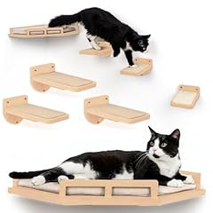 Inicio cat wall for sale  Delivered anywhere in USA 