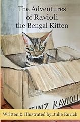 Adventures ravioli bengal for sale  Delivered anywhere in UK