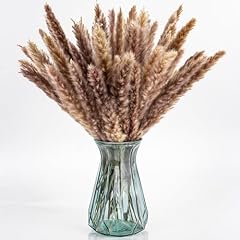 Rainflow pampas grass for sale  Delivered anywhere in USA 