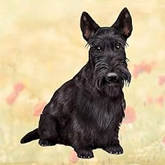 Scottish terrier absorbent for sale  Delivered anywhere in USA 