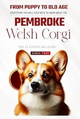 Pembroke welsh corgi for sale  Delivered anywhere in UK