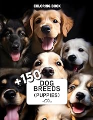 Dog breeds adult for sale  Delivered anywhere in UK