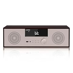 Lonpoo sistema stereo usato  Spedito ovunque in Italia 