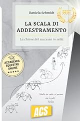 Scala addestramento segreto usato  Spedito ovunque in Italia 