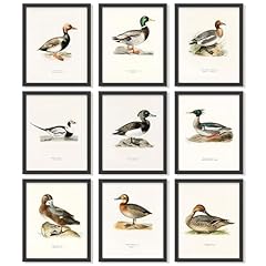 Decor mallard duck for sale  Delivered anywhere in USA 
