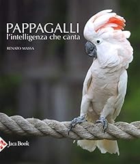 Pappagalli. intelligenza che usato  Spedito ovunque in Italia 