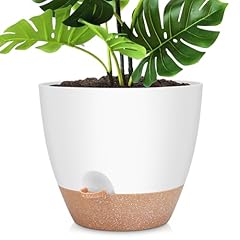 Ynnico inch large for sale  Delivered anywhere in USA 