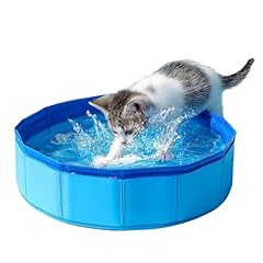 Piscina gatti piccolo usato  Spedito ovunque in Italia 