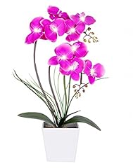 Homeseasons orchid lamp for sale  Delivered anywhere in USA 