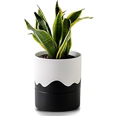Nihow self watering for sale  Delivered anywhere in USA 