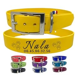 Tdog collier chien d'occasion  Livré partout en France