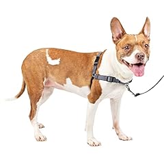 Petsafe easy walk d'occasion  Livré partout en France