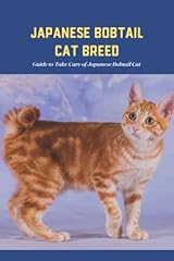 Japanese bobtail cat for sale  Delivered anywhere in USA 