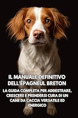 Manuale definitivo dell usato  Spedito ovunque in Italia 