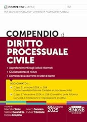 Compendio diritto processuale usato  Spedito ovunque in Italia 