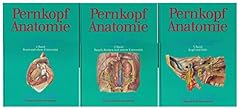 Pernkopf anatomie. atlas usato  Spedito ovunque in Italia 