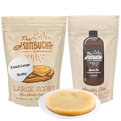 Kombucha company large for sale  Delivered anywhere in USA 
