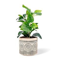 Chonsun ceramic planter for sale  Delivered anywhere in USA 