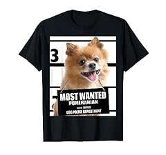 Wanted pomeranian cute for sale  Delivered anywhere in USA 