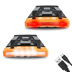 Everbrite pack rechargeable for sale  Delivered anywhere in USA 