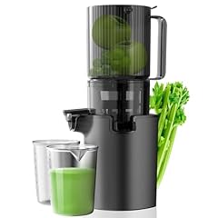 Masticating juicer electric for sale  Delivered anywhere in USA 