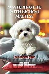 Mastering life bichon for sale  Delivered anywhere in UK