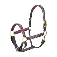 Sie equestrian leather for sale  Delivered anywhere in USA 