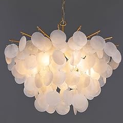 Tochic capiz shell for sale  Delivered anywhere in USA 