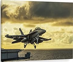 Pavaieics airplane canvas for sale  Delivered anywhere in USA 