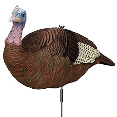 Glowye hen turkeys for sale  Delivered anywhere in USA 