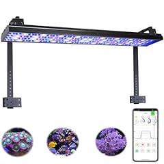 Popbloom hertz smart for sale  Delivered anywhere in UK