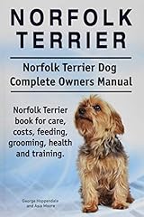 Norfolk terrier. norfolk for sale  Delivered anywhere in UK