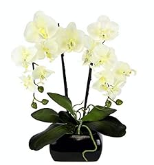 Flair flower orchidée d'occasion  Livré partout en France
