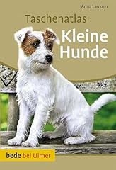 Kleine hunde beliebtesten gebraucht kaufen  Wird an jeden Ort in Deutschland