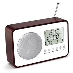 Fishtec radio reveil usato  Spedito ovunque in Italia 