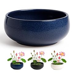 Leap fit ceramic for sale  Delivered anywhere in USA 