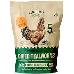Hatortempt dried mealworms for sale  Delivered anywhere in USA 