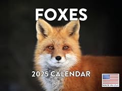 Fox calendar 2025 for sale  Delivered anywhere in UK