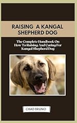 Kangal shepherd dog usato  Spedito ovunque in Italia 
