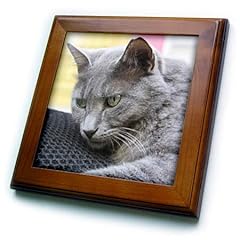 8x8 framed tile for sale  Delivered anywhere in USA 