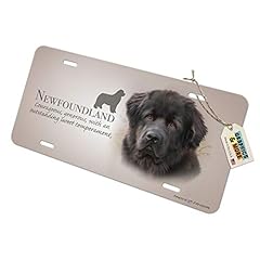 Graphics newfoundland dog for sale  Delivered anywhere in USA 