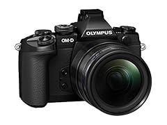 Olympus fotocamera mirrorless usato  Spedito ovunque in Italia 