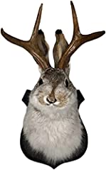 Jackalope mount wall for sale  Delivered anywhere in USA 