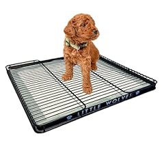 Little wolves puppy for sale  Delivered anywhere in USA 