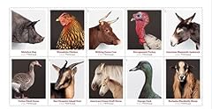 Heritage breeds sheet for sale  Delivered anywhere in USA 