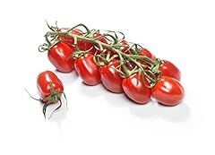 Grapette hybrid tomato for sale  Delivered anywhere in USA 