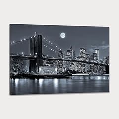 Skasnfai new york for sale  Delivered anywhere in USA 
