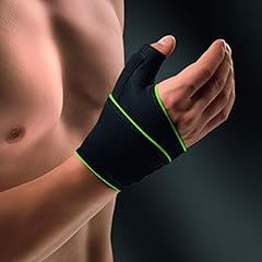 Bort 1370sp activecolor gebraucht kaufen  Wird an jeden Ort in Deutschland